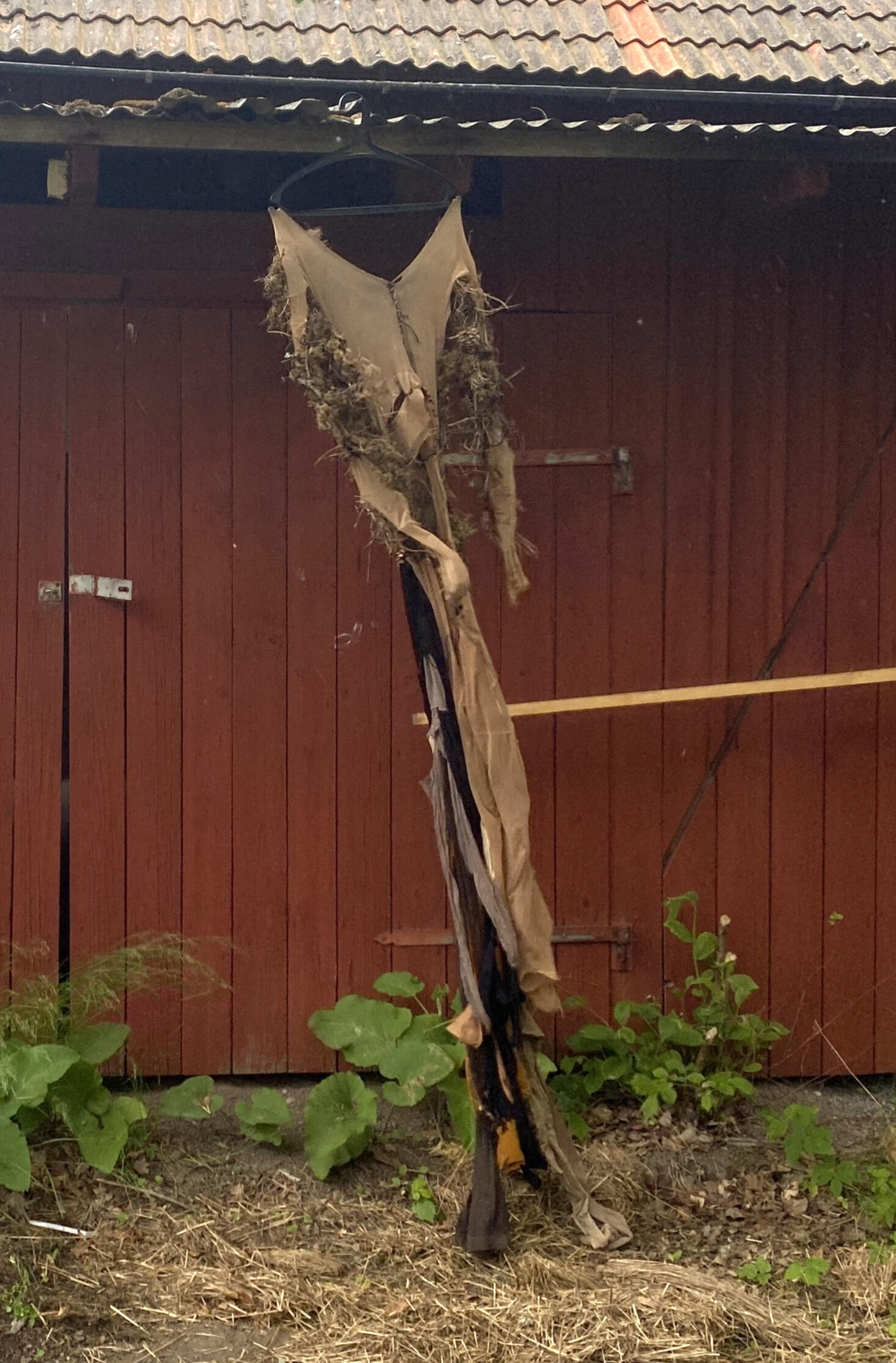 Ömsar liv/Ömsar liv (2025)